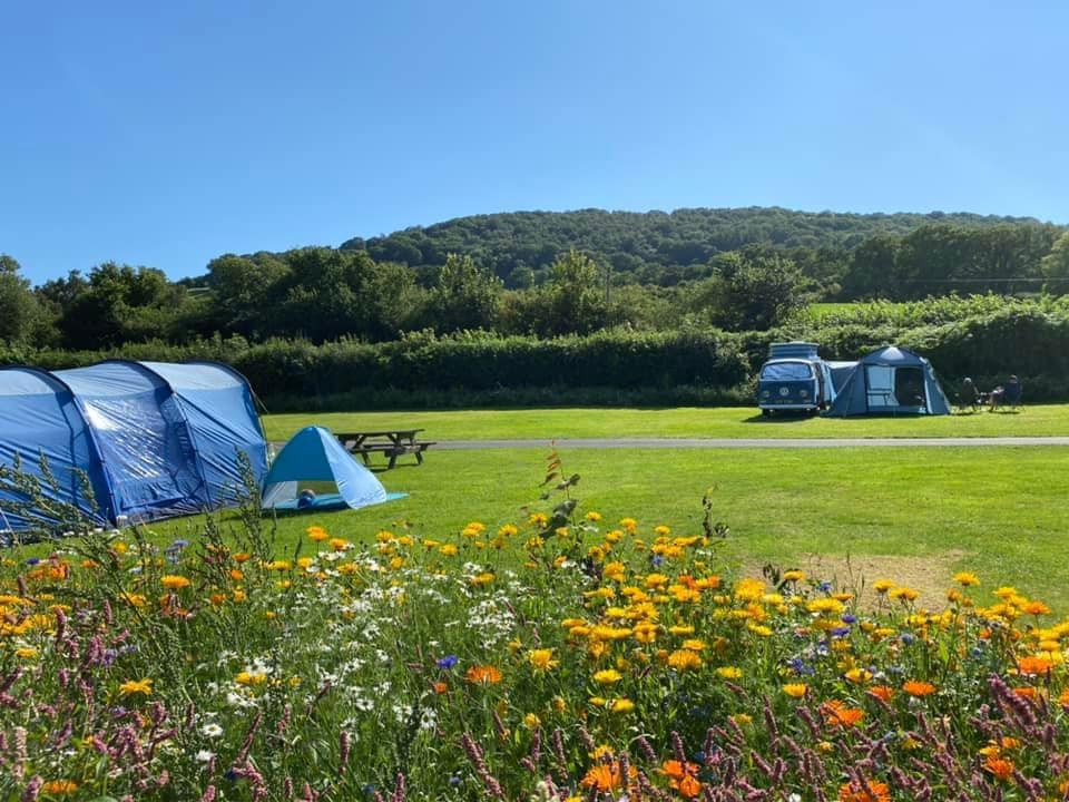 Campsites in Powys