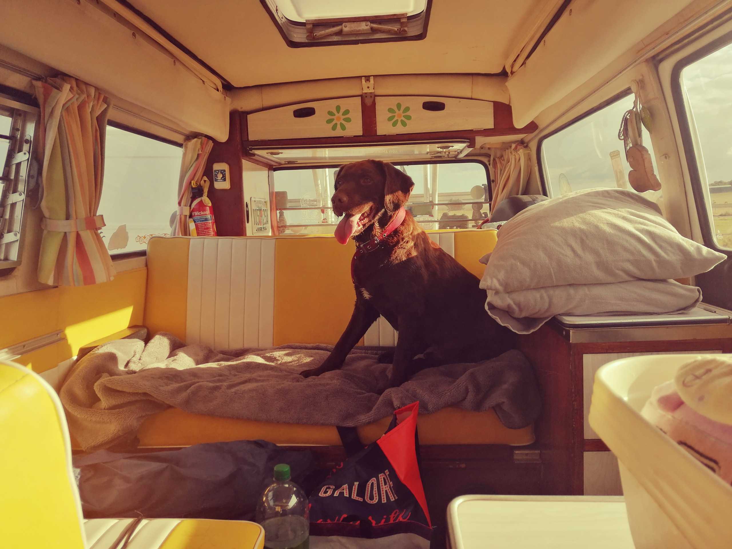 A VW T2 Classic campervan called Haroldinho and for hire in Preston, Canterbury, Kent
