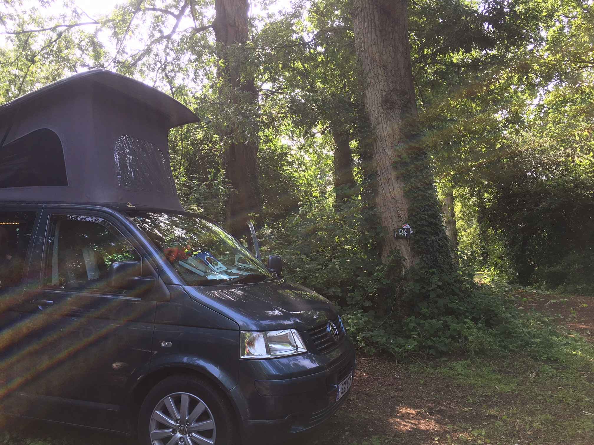 A Other Campervan called Cally-1219 and for hire in Godalming, Surrey
