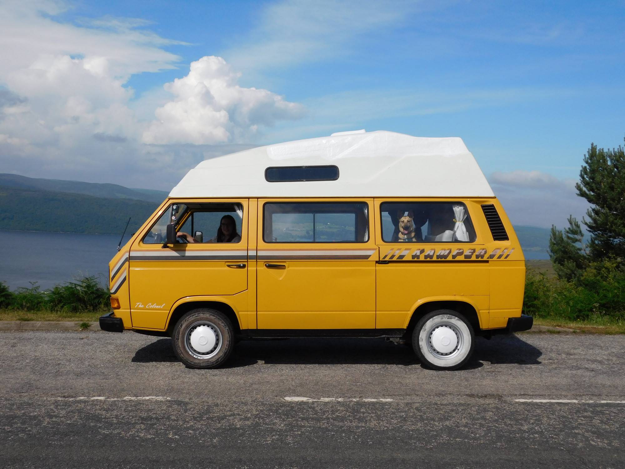 A VW T3 Campervan called the-colonel and Barley was very comfy in the back seat! for hire in Banbury, Northamptonshire