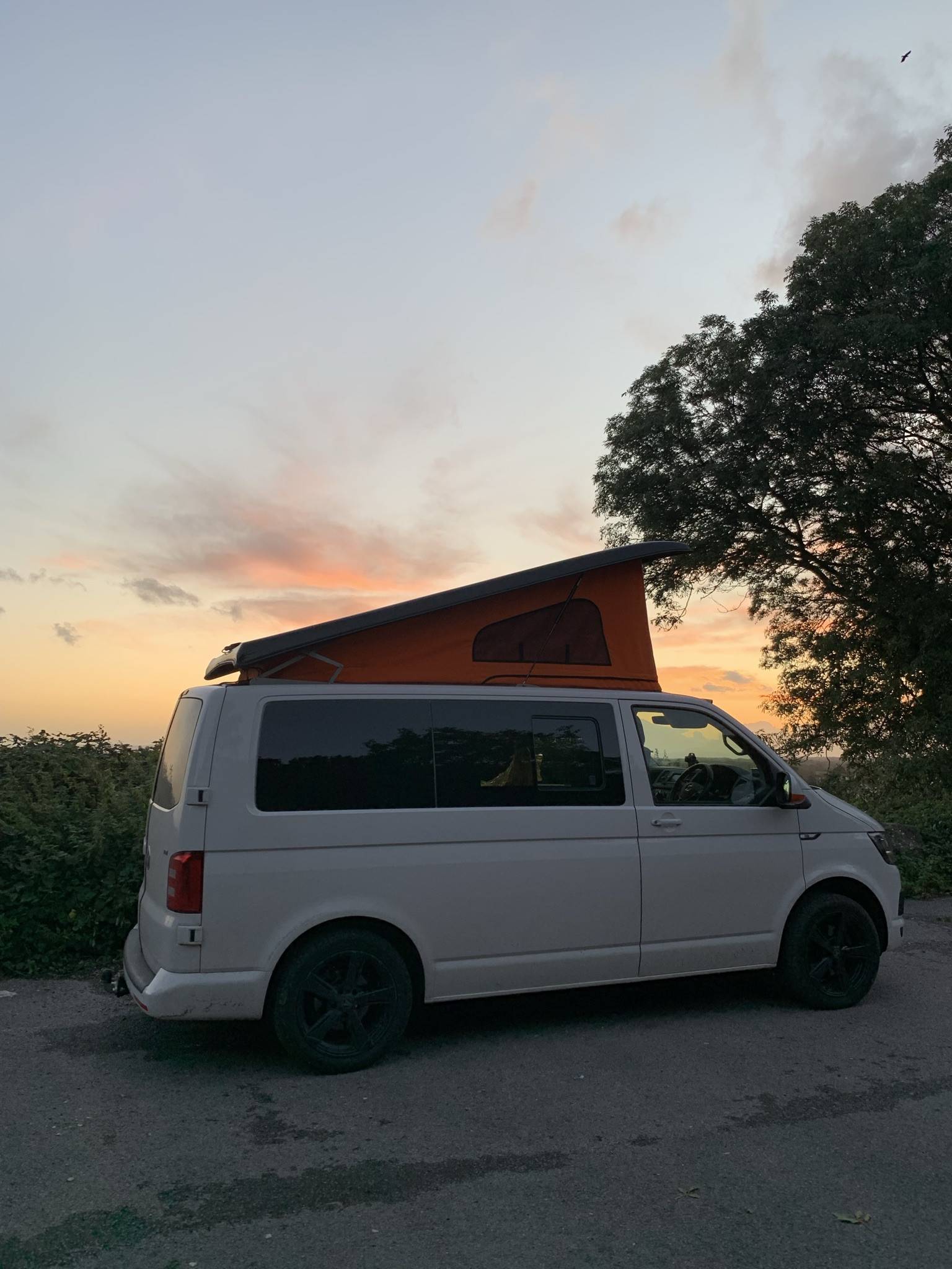 A VW T6 Campervan called Wilbur-Worm and for hire in Tunbridge Wells , Kent