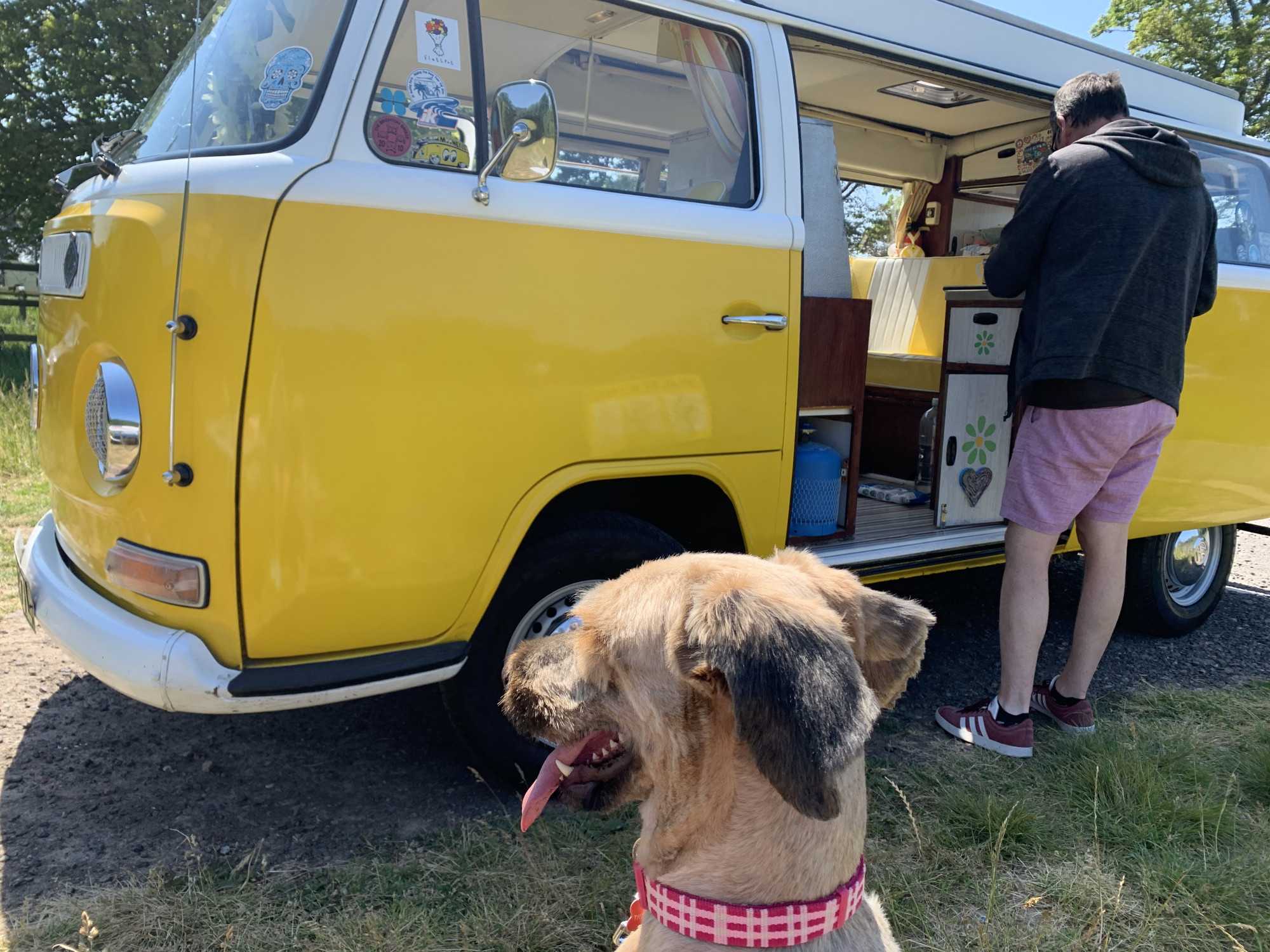 A VW T2 Classic campervan called Haroldinho and for hire in Preston, Canterbury, Kent