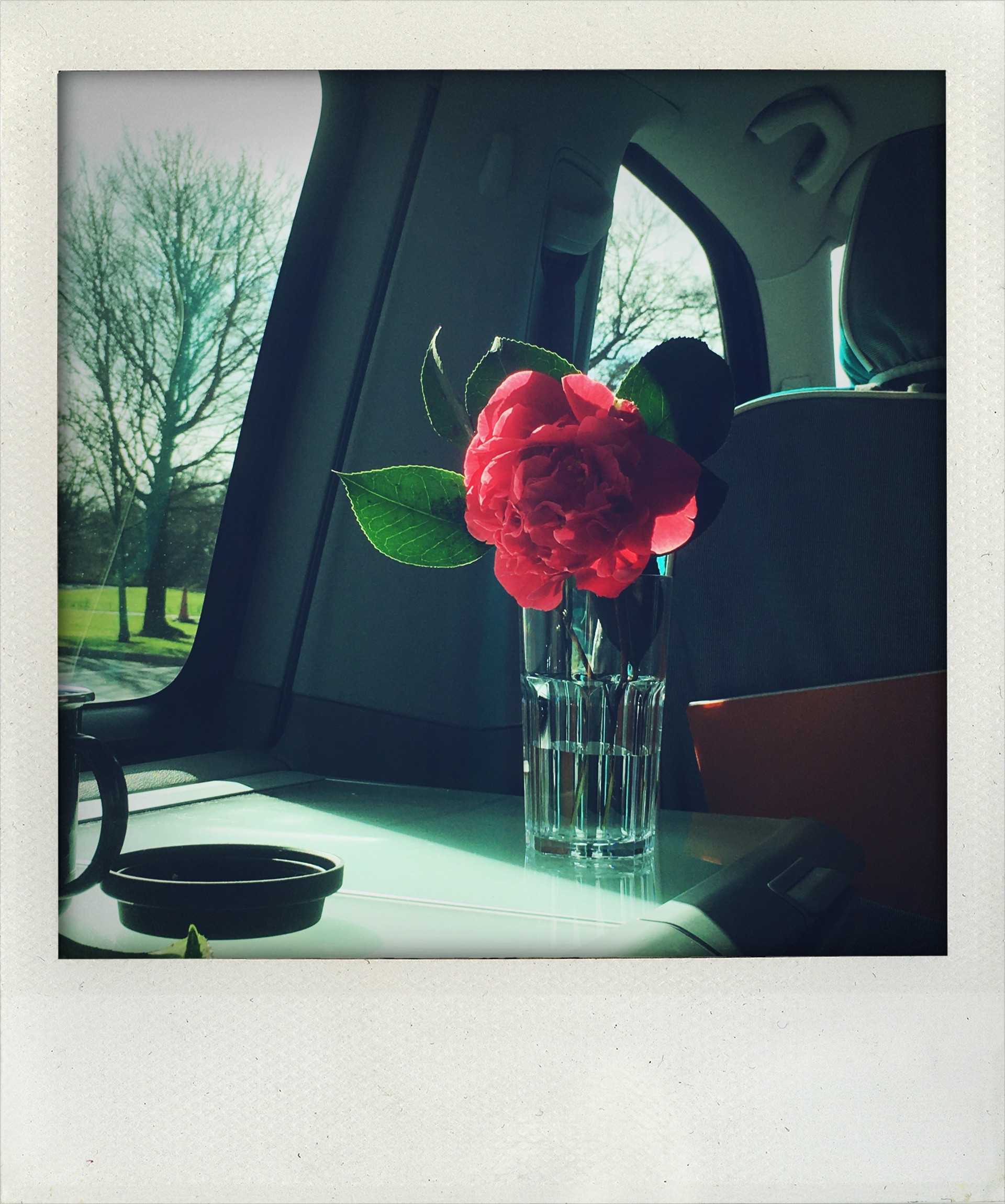 A VW T6 Campervan called Debs and sunnyshiney inside! for hire in Bournemouth, Hampshire