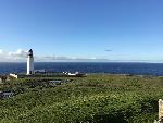 A VW T2 Classic Campervan called thunder-betty and Wild camping at Noop head lighthouse (Westray) for hire in Orkney, Orkney Islands