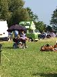 A VW T2 Classic Campervan called DorisBay and Doris all set up for the weekend. for hire in Peene, Kent