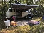 A VW T2 Classic Campervan called Meghan-0424 and Misty under the canopy of trees at camp site in 30 degrees! for hire in Eltham, SE9, London