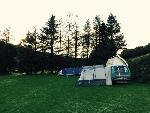 A VW T3 Campervan called Pepe-0321 and Westermill for hire in Wellington, Somerset