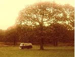 A Other Campervan called Lilly-1973Type2Bay-1219 and Ruby at Lake Coniston, Lake District for hire in Uckington, Cheltenham, Gloucestershire