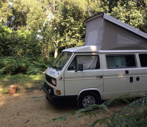 A VW T3 Campervan called T3WestfaliaCalifornia and Camping for hire in Hove, East Sussex