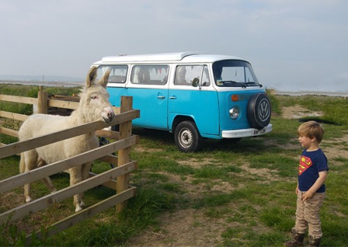A VW T2 Classic Campervan called Ronnie and It's always nice to meet friends for hire in northam, Devon