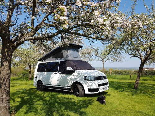 A VW T5 Campervan called monty and Monty in the orchard for hire in Maidstone, Kent