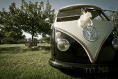 A Other Campervan called 1956splitscreen-1219 and Tilly in a field for hire in Finchley, London