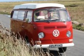 Daisy Red