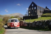 Poppy on the road...