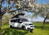 A VW T5 Campervan called monty and Monty in the orchard for hire in Maidstone, Kent