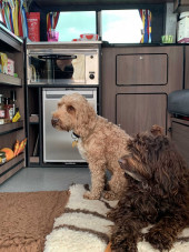 Well behaved pets welcome
