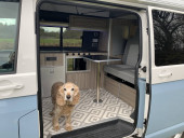 A VW T6 Campervan called Penelope and for hire in Gainsborough, Lincolnshire