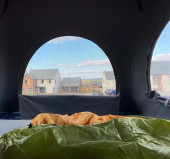 A VW T6 Campervan called Indie and for hire in Exeter , Devon
