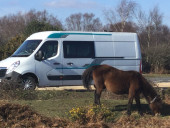 A Vauxhall Campervan called Caddyshack and for hire in Ferndown, Dorset